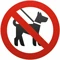 Hond niet aanbevolen